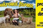 Famra logo