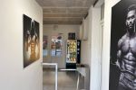 Fitness Arnold Gym